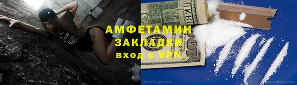 индика Алзамай