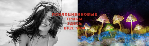 трава Алексин
