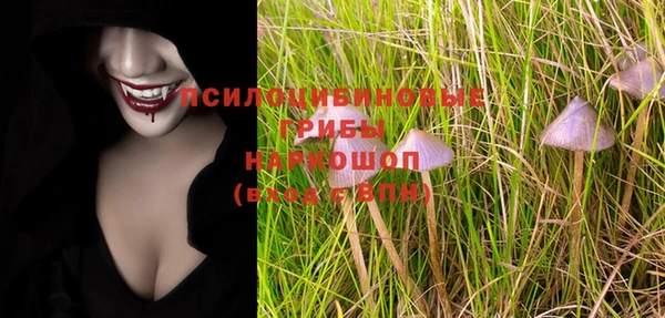 индика Алзамай