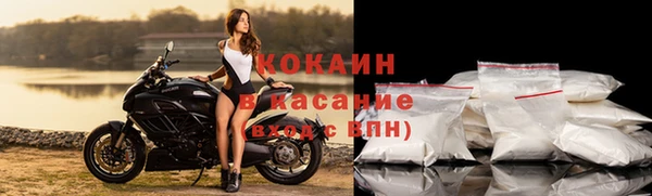 индика Алзамай
