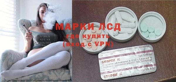 индика Алзамай
