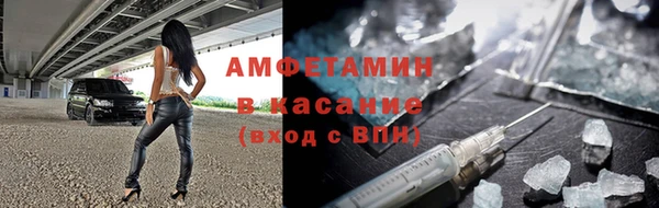 индика Алзамай