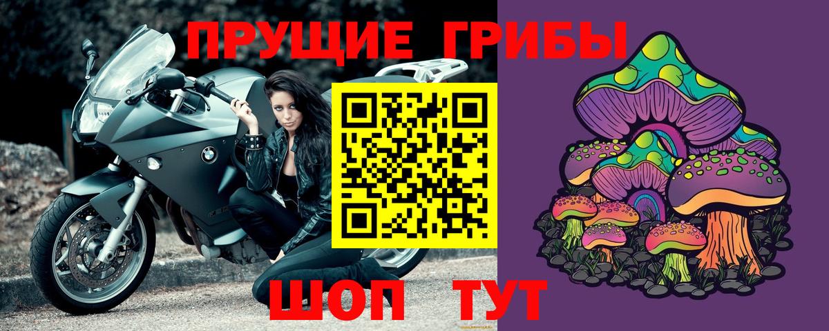 Псилоцибиновые грибы Psilocybe Узловая